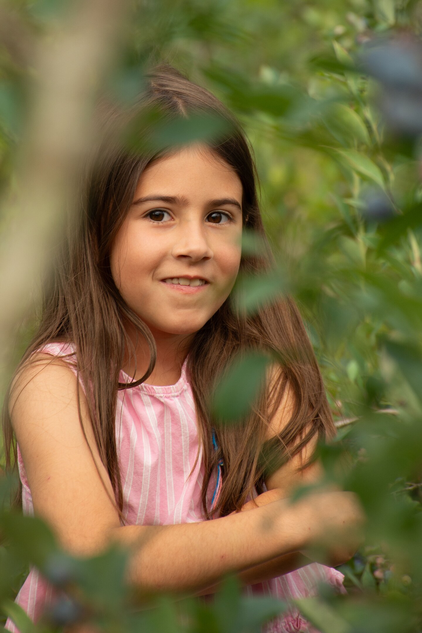 Young girl picking blueberries among leafy bushes